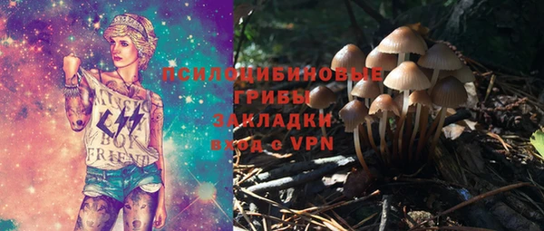 соль ск Алексеевка