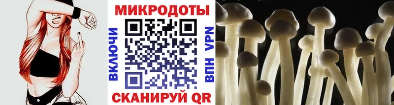 Галлюциногенные грибы Cubensis Чехов